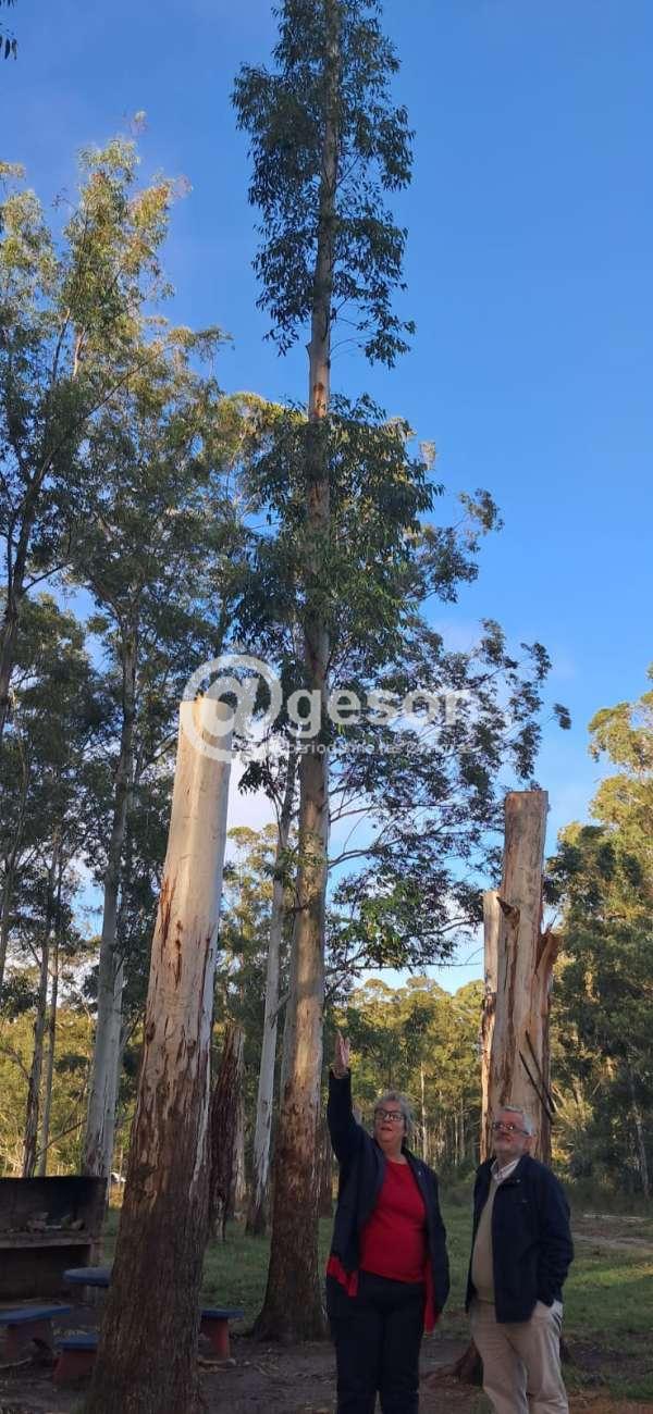 Image2